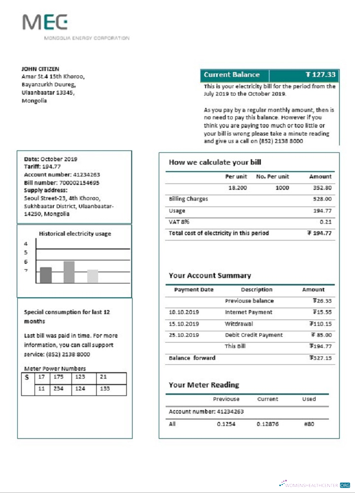 download Mongolia Energy Corporation (MEC) electricity utility bill template in Word and PDF format PDF template